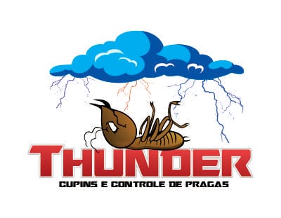 Criação de sites e Otimização de sites 20 anos 2 criação de site thunder